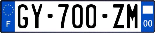GY-700-ZM