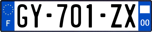 GY-701-ZX