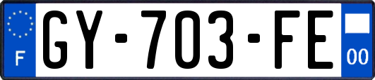 GY-703-FE