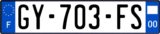 GY-703-FS