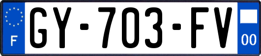 GY-703-FV