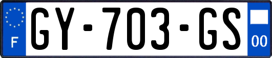 GY-703-GS