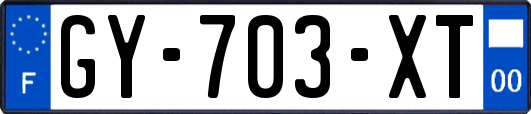 GY-703-XT