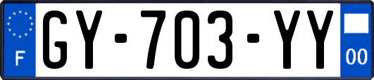 GY-703-YY