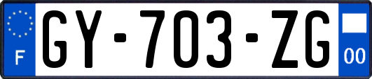 GY-703-ZG