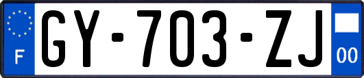 GY-703-ZJ