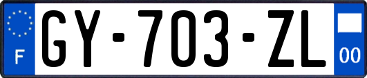 GY-703-ZL