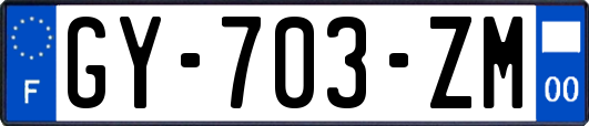 GY-703-ZM