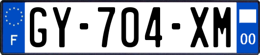 GY-704-XM