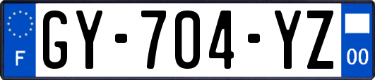 GY-704-YZ