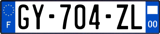 GY-704-ZL