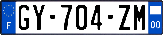 GY-704-ZM