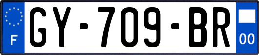 GY-709-BR