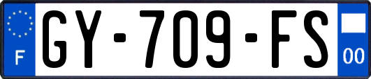 GY-709-FS