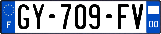 GY-709-FV