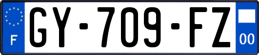 GY-709-FZ