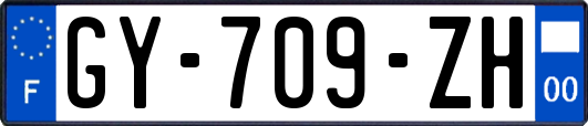 GY-709-ZH
