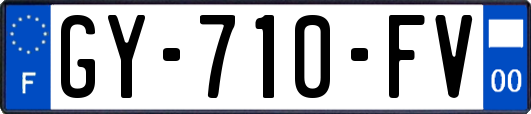 GY-710-FV