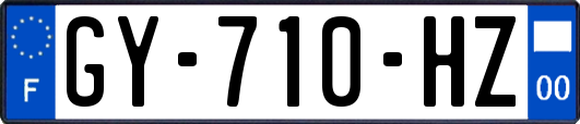GY-710-HZ