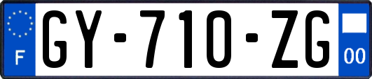 GY-710-ZG