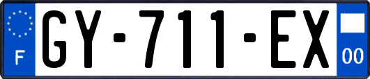 GY-711-EX