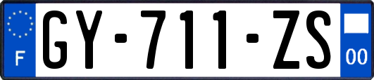 GY-711-ZS