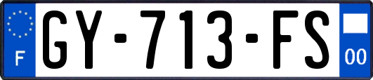 GY-713-FS