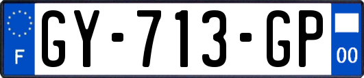 GY-713-GP
