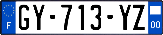 GY-713-YZ