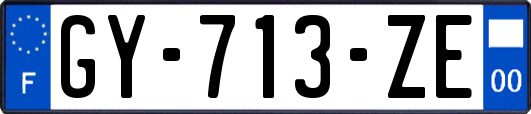 GY-713-ZE
