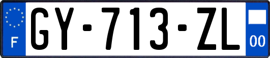 GY-713-ZL