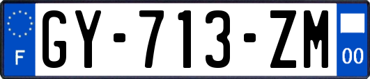 GY-713-ZM