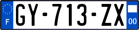 GY-713-ZX