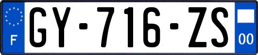 GY-716-ZS