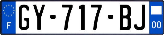 GY-717-BJ