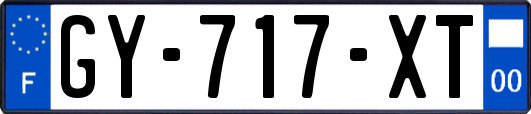 GY-717-XT