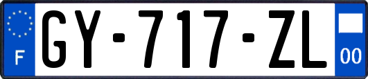 GY-717-ZL