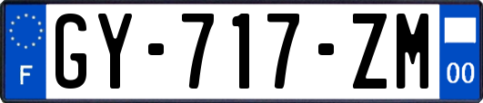 GY-717-ZM
