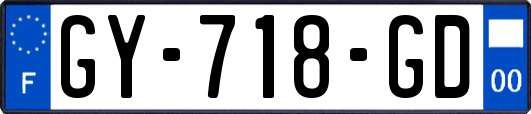 GY-718-GD