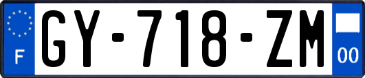 GY-718-ZM