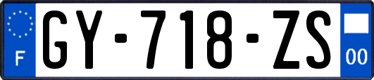 GY-718-ZS