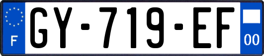 GY-719-EF