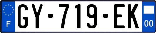 GY-719-EK