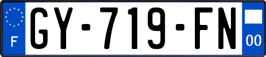 GY-719-FN