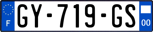 GY-719-GS