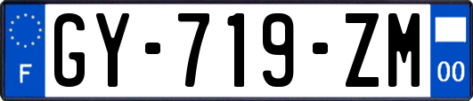 GY-719-ZM