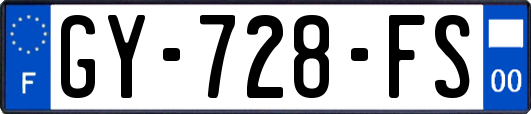 GY-728-FS