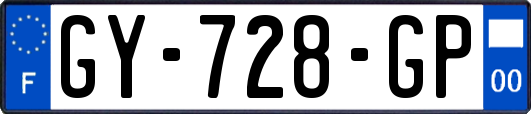 GY-728-GP