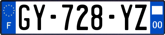 GY-728-YZ