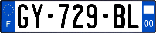 GY-729-BL